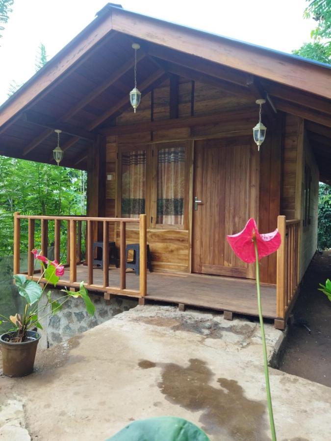 Diyaluma View Cotage Hotel Koslanda Bagian luar foto