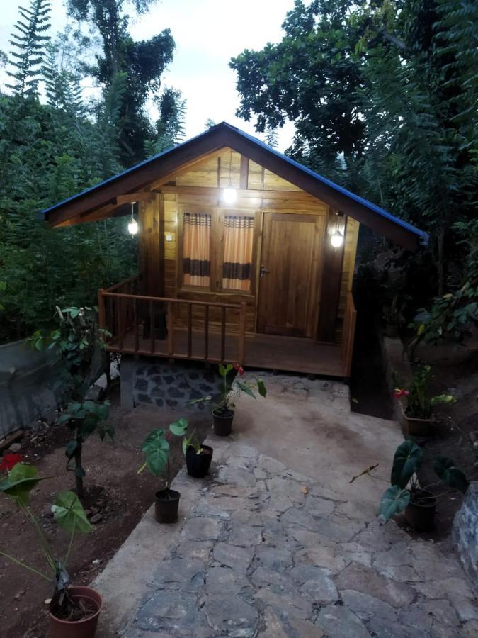 Diyaluma View Cotage Hotel Koslanda Bagian luar foto