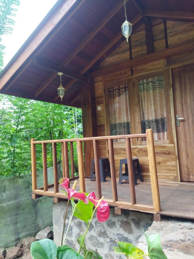 Diyaluma View Cotage Hotel Koslanda Bagian luar foto