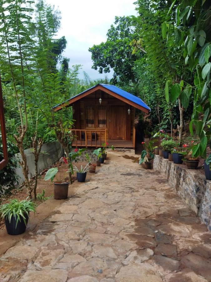 Diyaluma View Cotage Hotel Koslanda Bagian luar foto