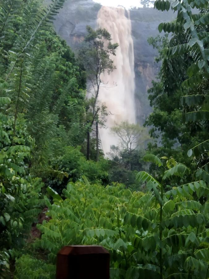Diyaluma View Cotage Hotel Koslanda Bagian luar foto