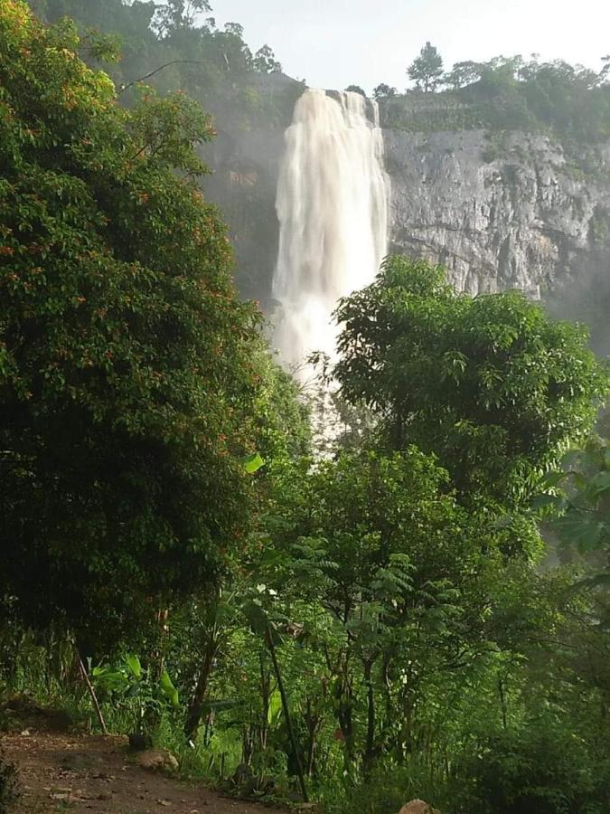 Diyaluma View Cotage Hotel Koslanda Ruang foto
